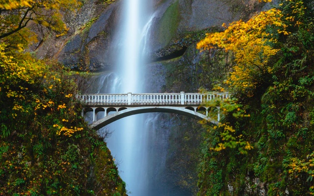 White bridge with a waterfall in the background. Trees and other plants with yellow and green leaves surround both ends of the bridge.